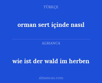 wie ist der wald im herben - orman sert içinde nasıl