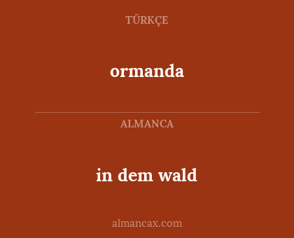 ormanda - in dem wald