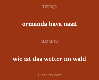 ormanda hava nasıl - wie ist das wetter im wald