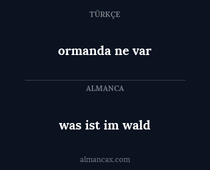 was ist im wald - ormanda ne var
