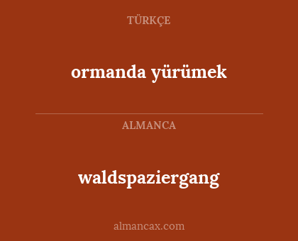 ormanda yürümek - waldspaziergang