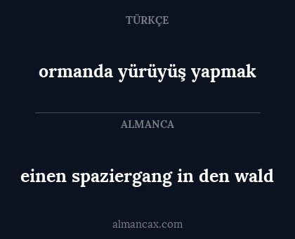 einen spaziergang in den wald - ormanda yürüyüş yapmak