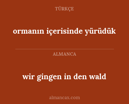 ormanın içerisinde yürüdük - wir gingen in den wald