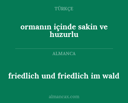 ormanın içinde sakin ve huzurlu - friedlich und friedlich im wald