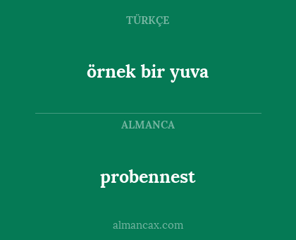 probennest - örnek bir yuva