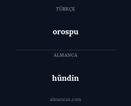 orospu - hündin