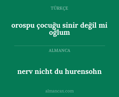 orospu çocuğu sinir değil mi oğlum - nerv nicht du hurensohn