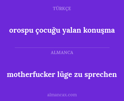 motherfucker lüge zu sprechen - orospu çocuğu yalan konuşma