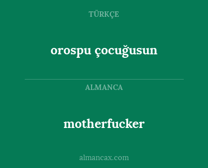 orospu çocuğusun - motherfucker