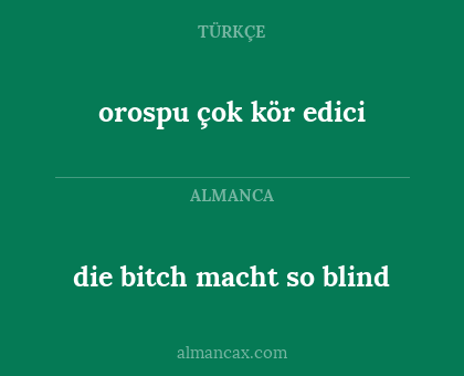 die bitch macht so blind - orospu çok kör edici
