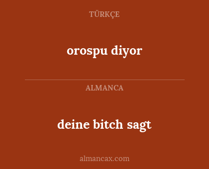 deine bitch sagt - orospu diyor