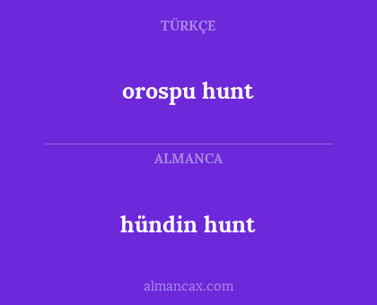 hündin hunt - orospu hunt