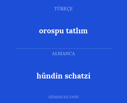 hündin schatzi - orospu tatlım