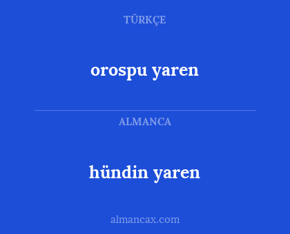 hündin yaren - orospu yaren