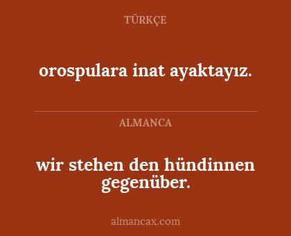 orospulara inat ayaktayız. - wir stehen den hündinnen gegenüber.