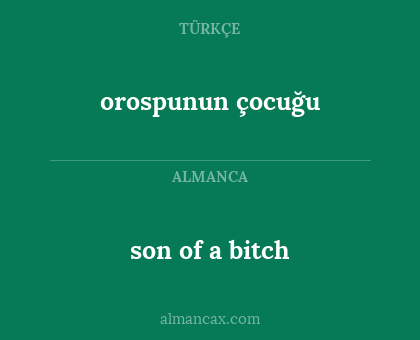 orospunun çocuğu - son of a bitch