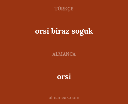 orsi - orsi biraz soguk