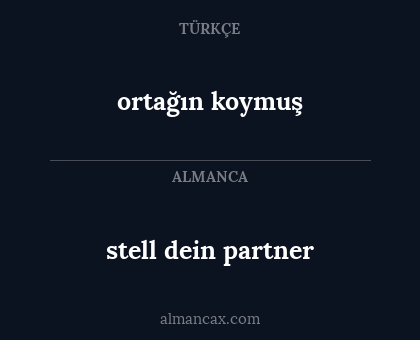 stell dein partner - ortağın koymuş