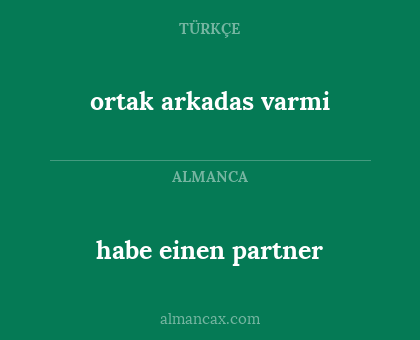 habe einen partner - ortak arkadas varmi