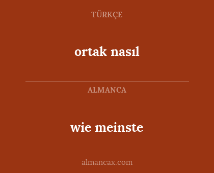 ortak nasıl - wie meinste