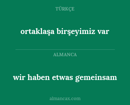 ortaklaşa birşeyimiz var - wir haben etwas gemeinsam