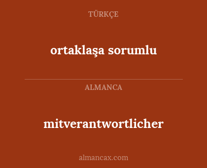 mitverantwortlicher - ortaklaşa sorumlu