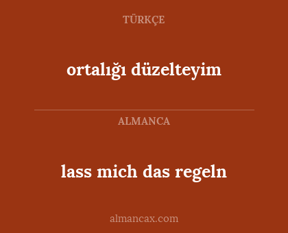 lass mich das regeln - ortalığı düzelteyim