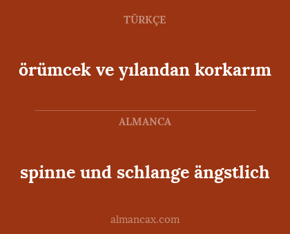 spinne und schlange ängstlich - örümcek ve yılandan korkarım