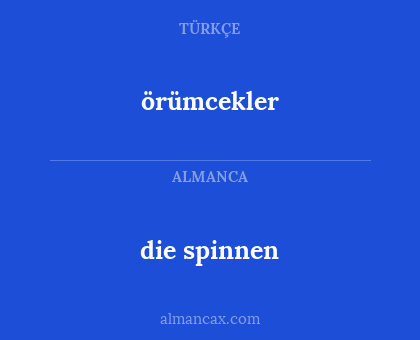 die spinnen - örümcekler