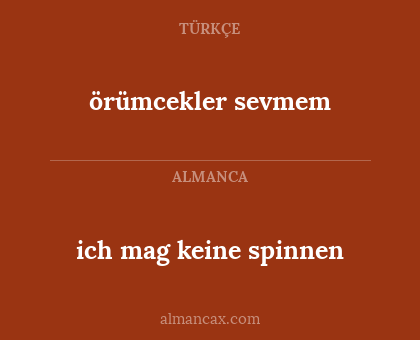 ich mag keine spinnen - örümcekler sevmem