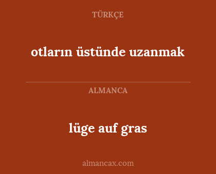 lüge auf gras - otların üstünde uzanmak