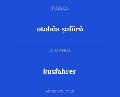 busfahrer - otobüs şoförü