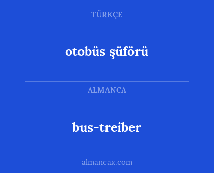 bus-treiber - otobüs şüförü