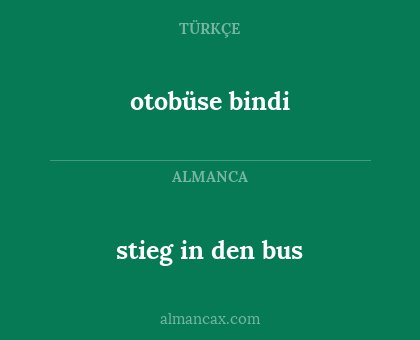 stieg in den bus - otobüse bindi