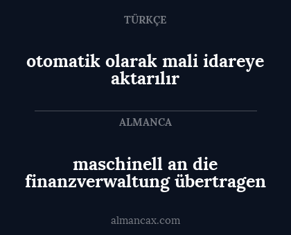maschinell an die finanzverwaltung übertragen - otomatik olarak mali idareye aktarılır