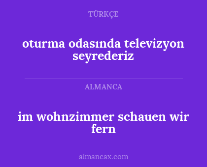 oturma odasında televizyon seyrederiz - im wohnzimmer schauen wir fern