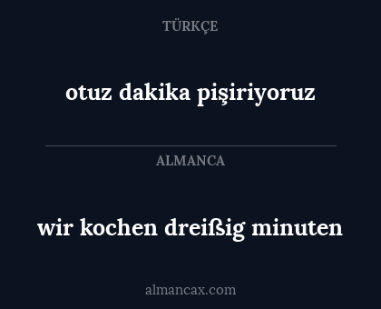 wir kochen dreißig minuten - otuz dakika pişiriyoruz