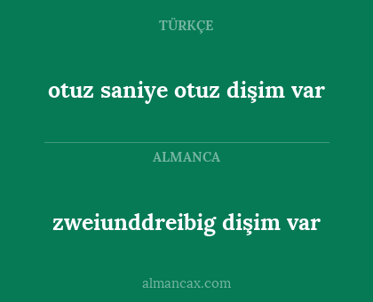 otuz saniye otuz dişim var - zweiunddreibig dişim var