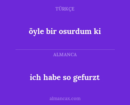 öyle bir osurdum ki - ich habe so gefurzt