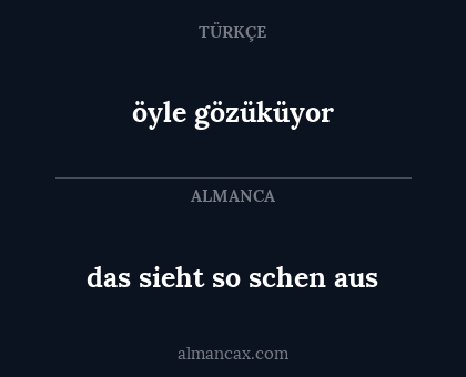 das sieht so schen aus - öyle gözüküyor