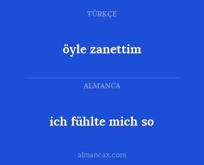 öyle zanettim - ich fühlte mich so