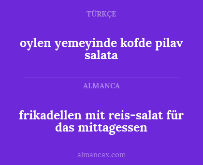 oylen yemeyinde kofde pilav salata - frikadellen mit reis-salat für das mittagessen