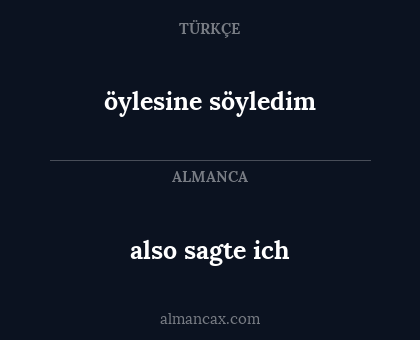also sagte ich - öylesine söyledim