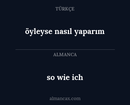 öyleyse nasıl yaparım - so wie ich