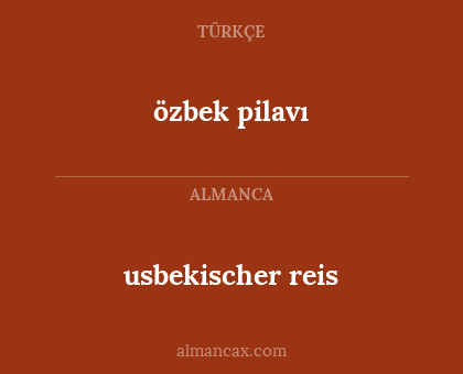 özbek pilavı - usbekischer reis