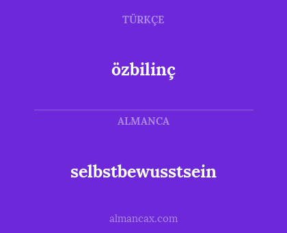 özbilinç - selbstbewusstsein