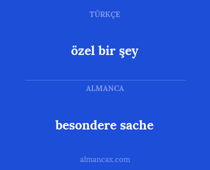 besondere sache - özel bir şey