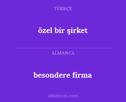 özel bir şirket - besondere firma