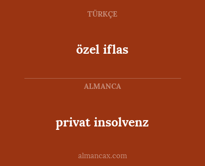 özel iflas - privat insolvenz