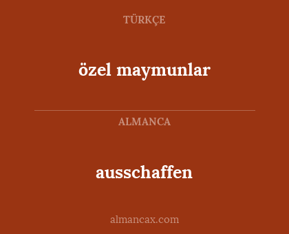 ausschaffen - özel maymunlar